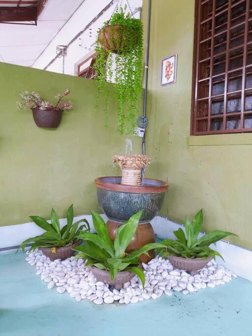 Syukur Homestay Ίπο Εξωτερικό φωτογραφία